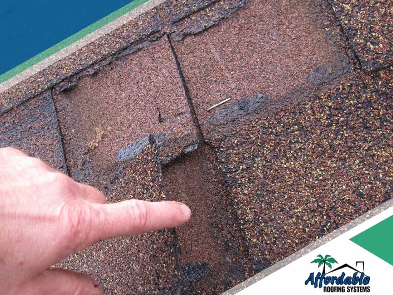 Tampa Residential Roof Maintenance: Dos and Don'ts